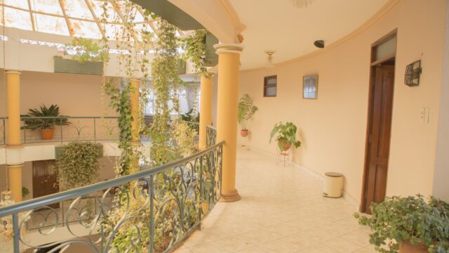 343944390_1453170408761874_8376609582582704309_n