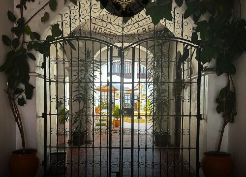 359845236_783382990453983_5607025276867053025_n