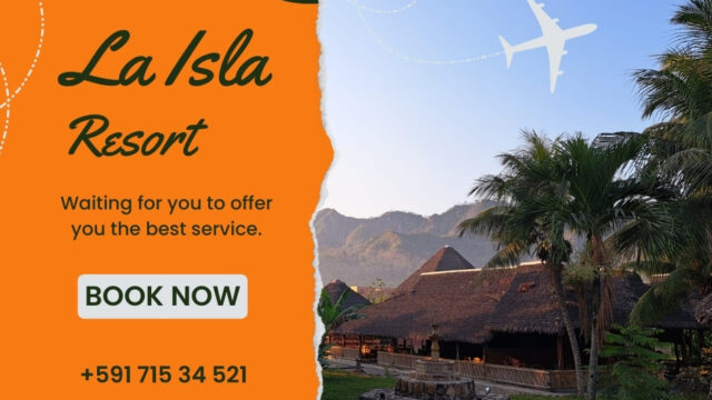 431129755_905166824942974_2127528954574675217_n