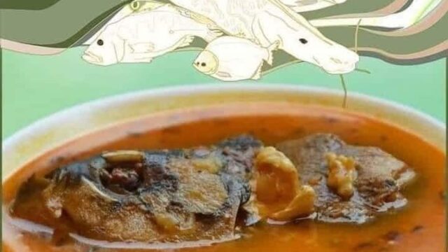 441452181_974866654643047_5721016573652242312_n