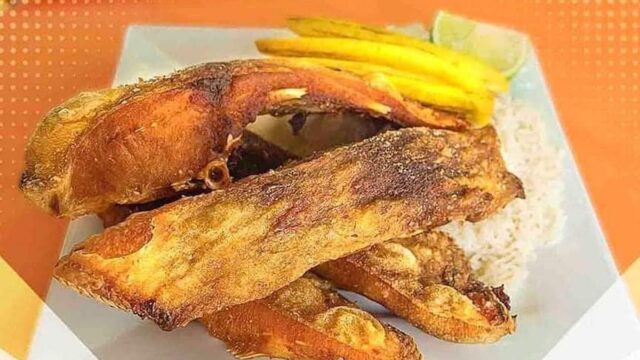 448061853_1000274212102291_2602199366345564947_n