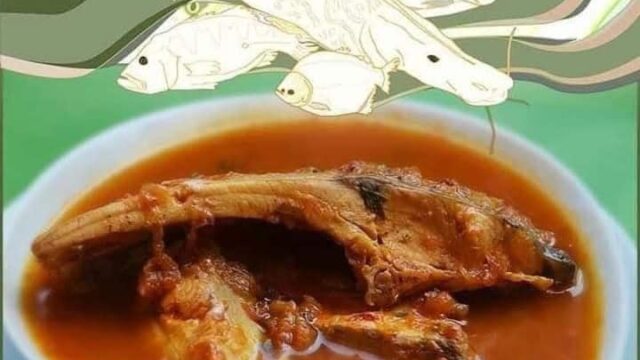 448311920_1002997501829962_1471231095754914246_n