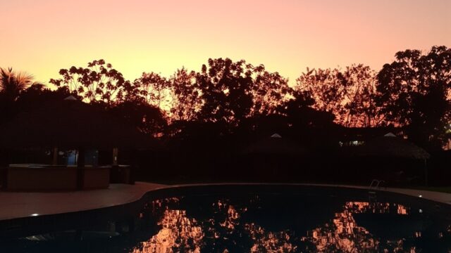 450401805_992315149561474_3782232815517273963_n