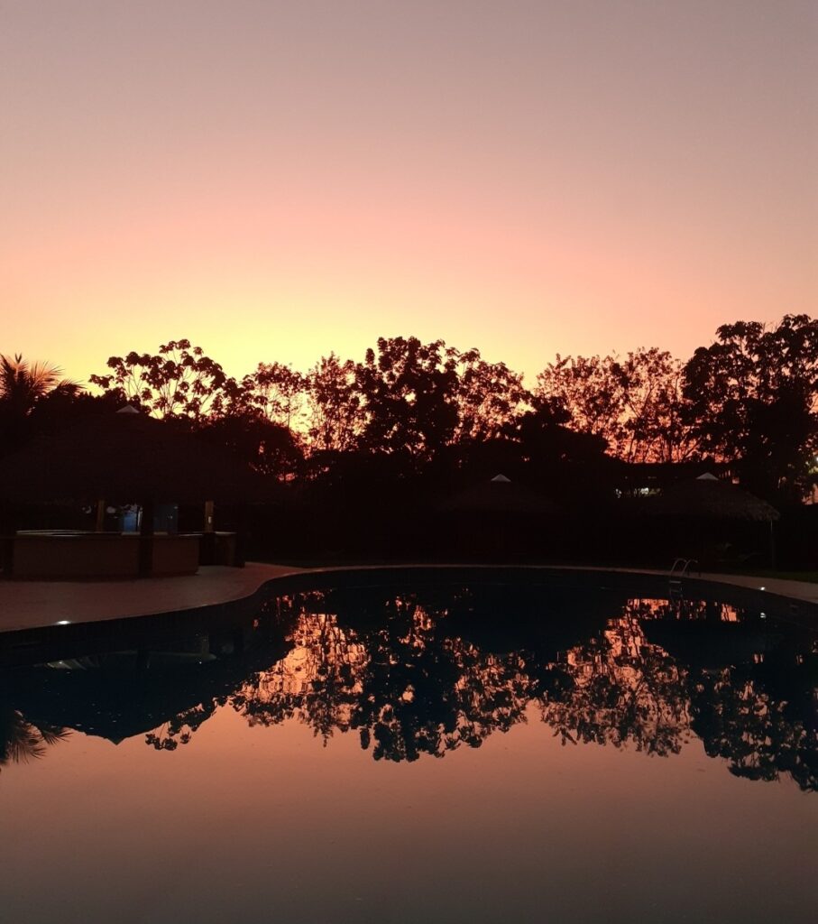 450401805_992315149561474_3782232815517273963_n