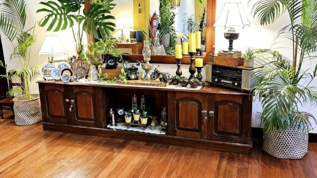 451218687_997013449099865_603875876659828251_n