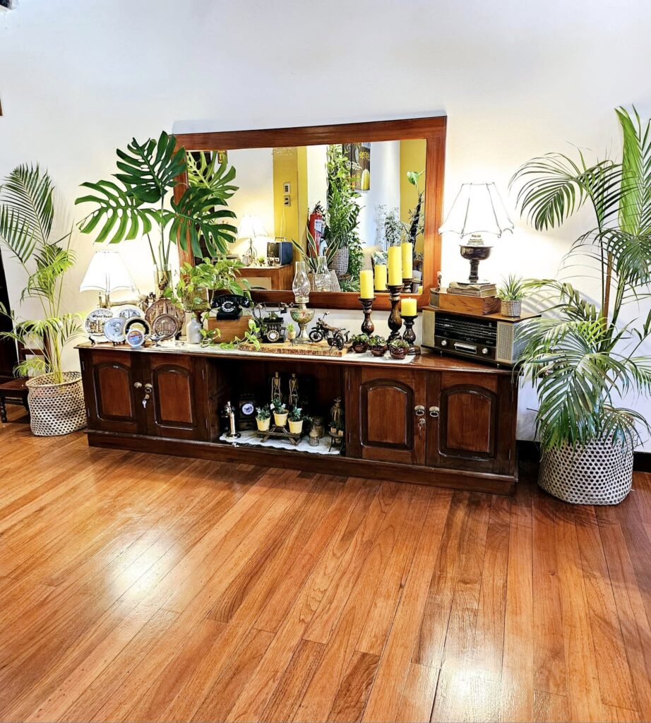 451218687_997013449099865_603875876659828251_n