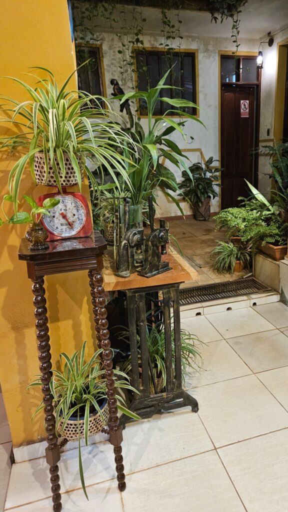 452232953_1002351851899358_8131229990787287995_n