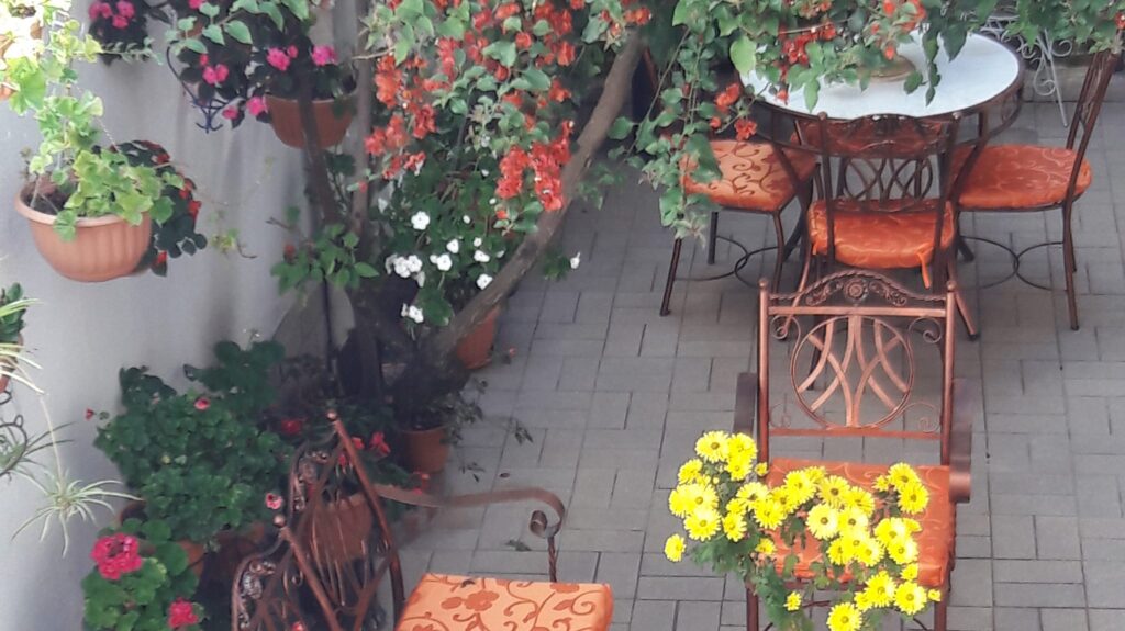 468951618_1506062680010146_6591197261130457497_n