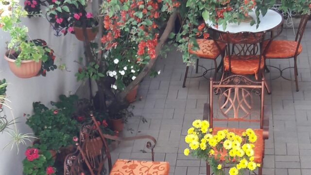 468951618_1506062680010146_6591197261130457497_n