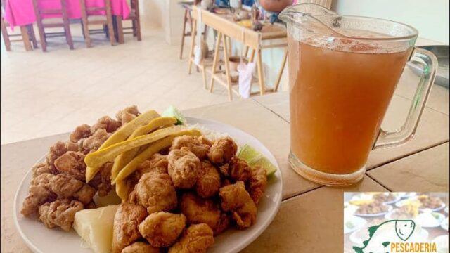 469690243_1153705653425812_1245916823633594128_n