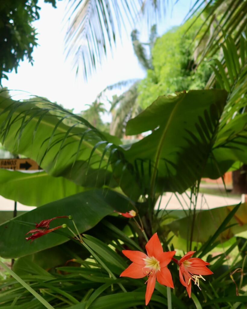 471117274_17878824432207295_4316193717805177376_n