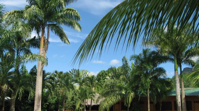 474532962_1064899655441001_8269336177169347244_n (1)