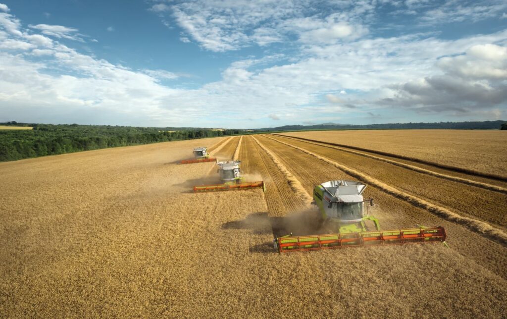 475098588_1146940544107052_5813872928724175163_n