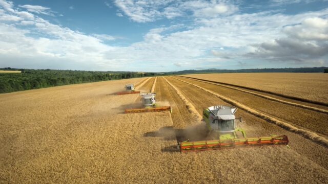 475098588_1146940544107052_5813872928724175163_n