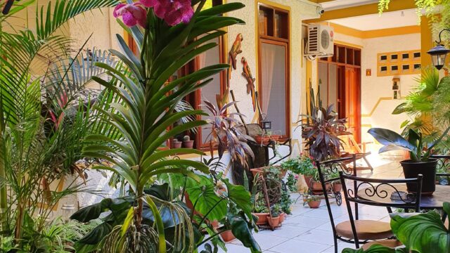 476354349_1157018113099397_8893175915948649757_n