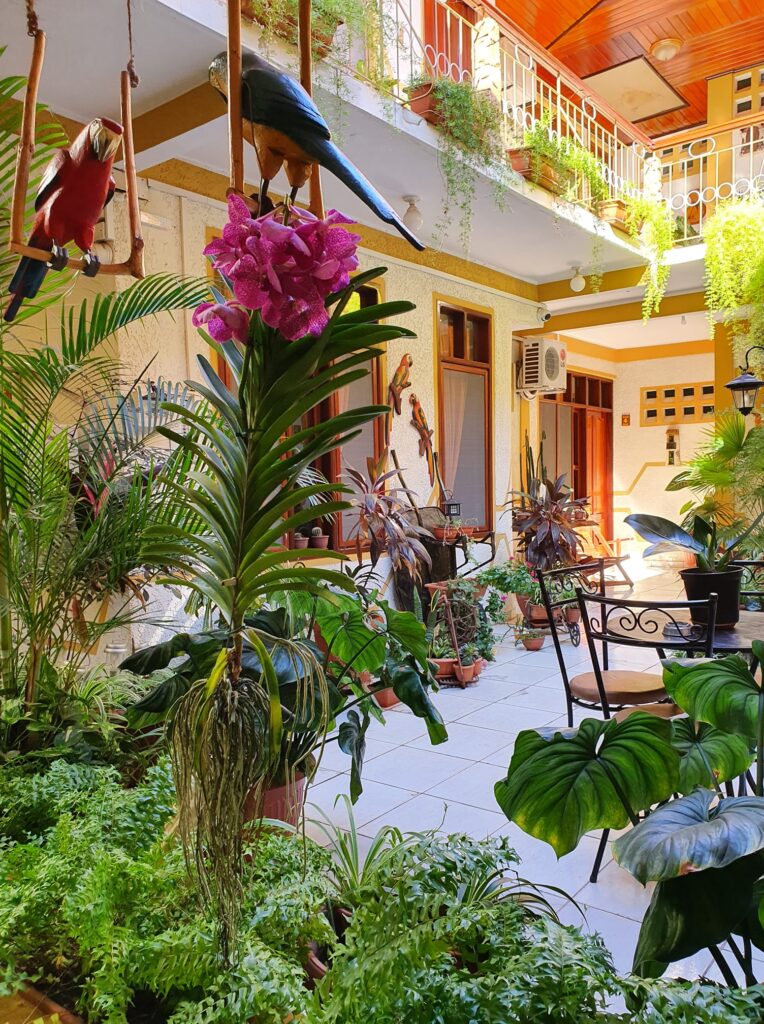 476354349_1157018113099397_8893175915948649757_n