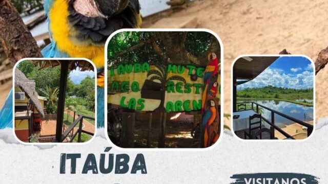 481077263_1404633080518214_7685355559659340599_n