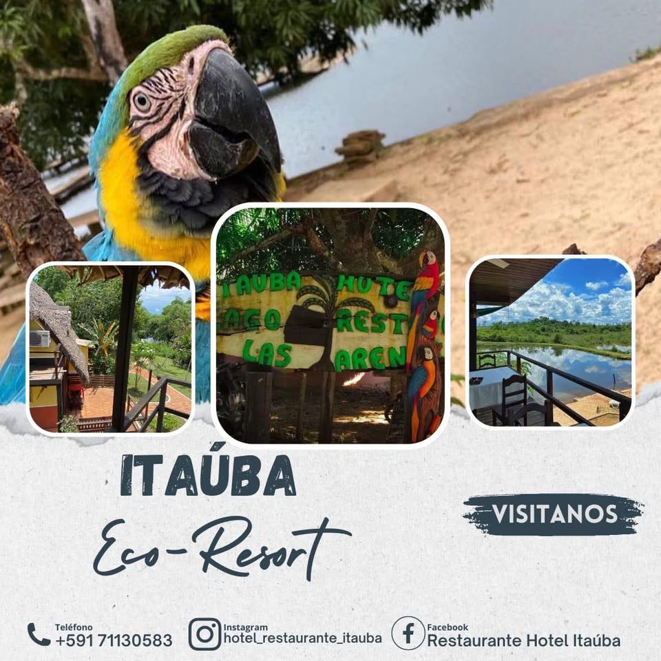 481077263_1404633080518214_7685355559659340599_n