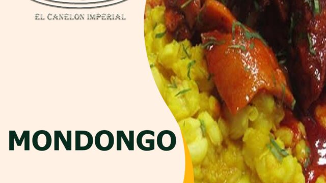 481129451_2913617348809545_7111822180568246877_n