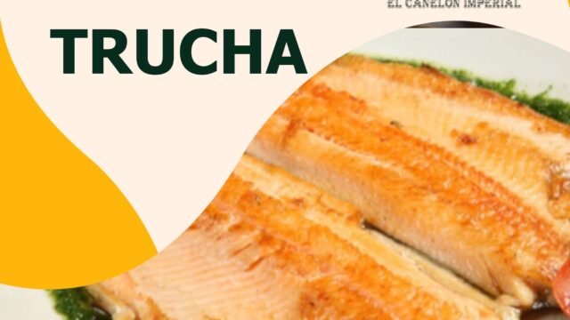 481486075_2913617332142880_2201033741732044557_n