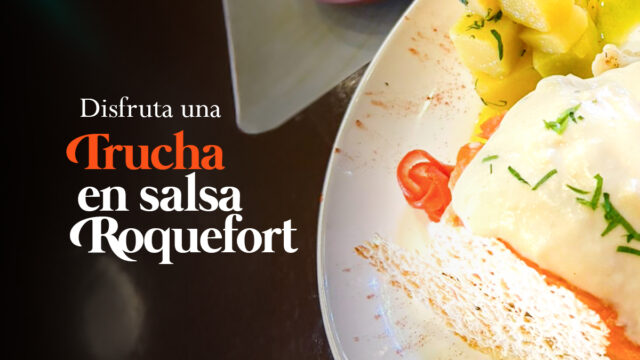 482201705_1086096923531677_7894969797215278086_n