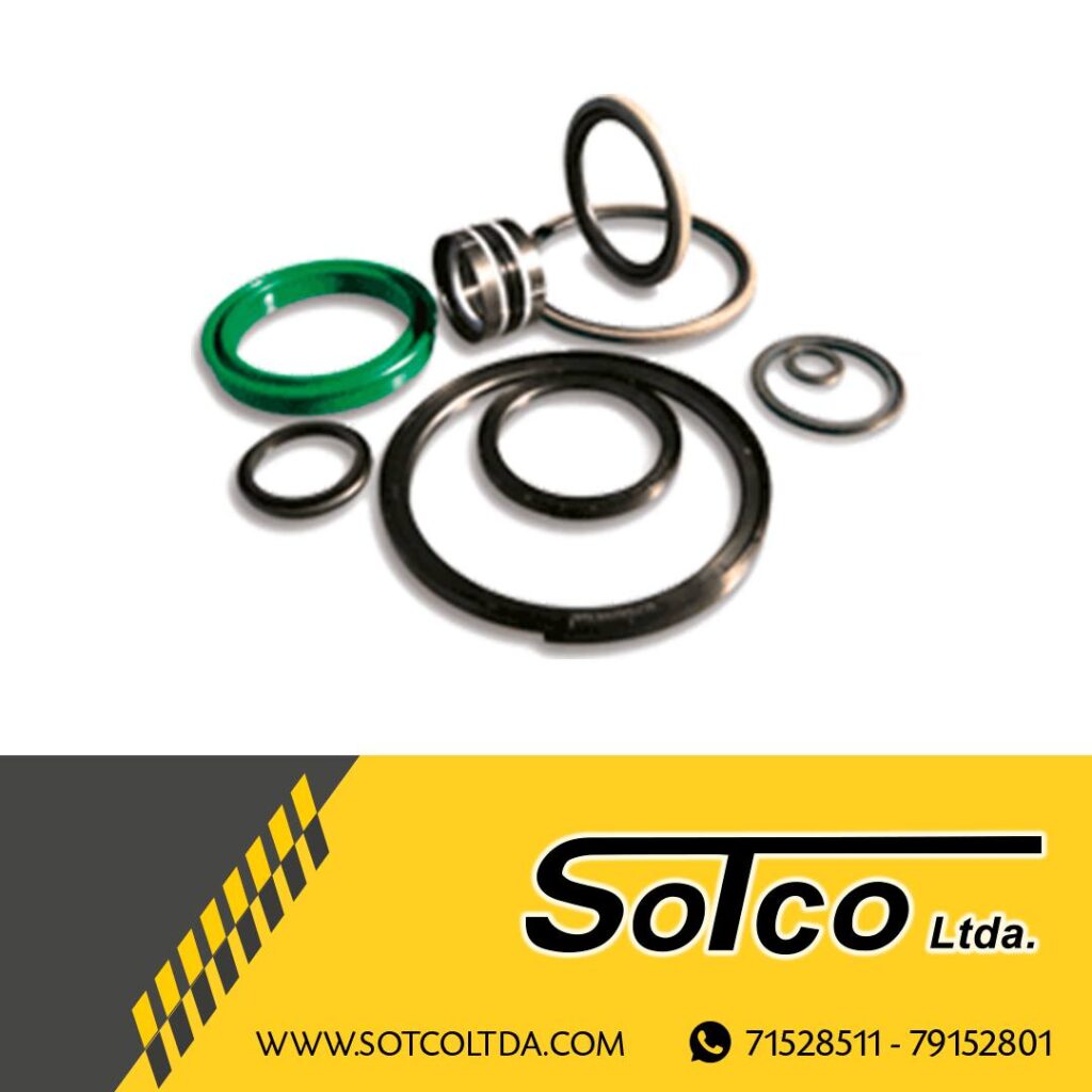 482242378_1166877325448079_6282325947321969197_n