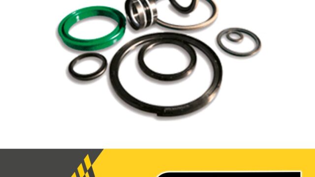 482242378_1166877325448079_6282325947321969197_n