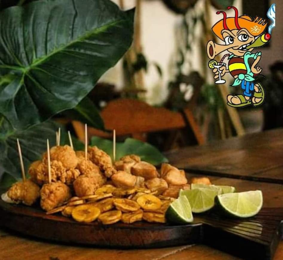 484856187_1299041528450636_2312106270822703835_n