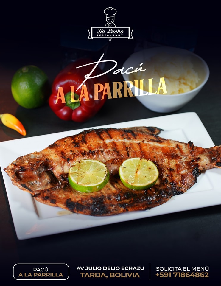 485307991_1470842674312642_3882321759132839540_n