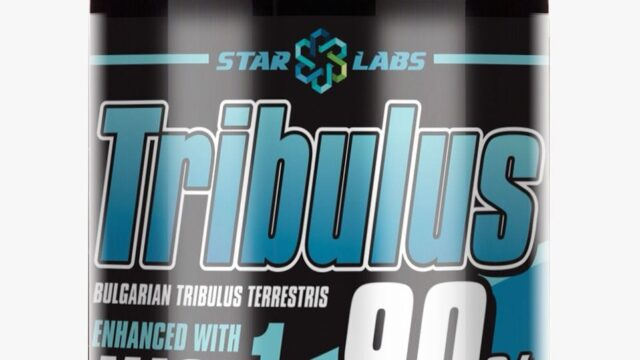 486303514_1219852159645060_2726856887432824619_n