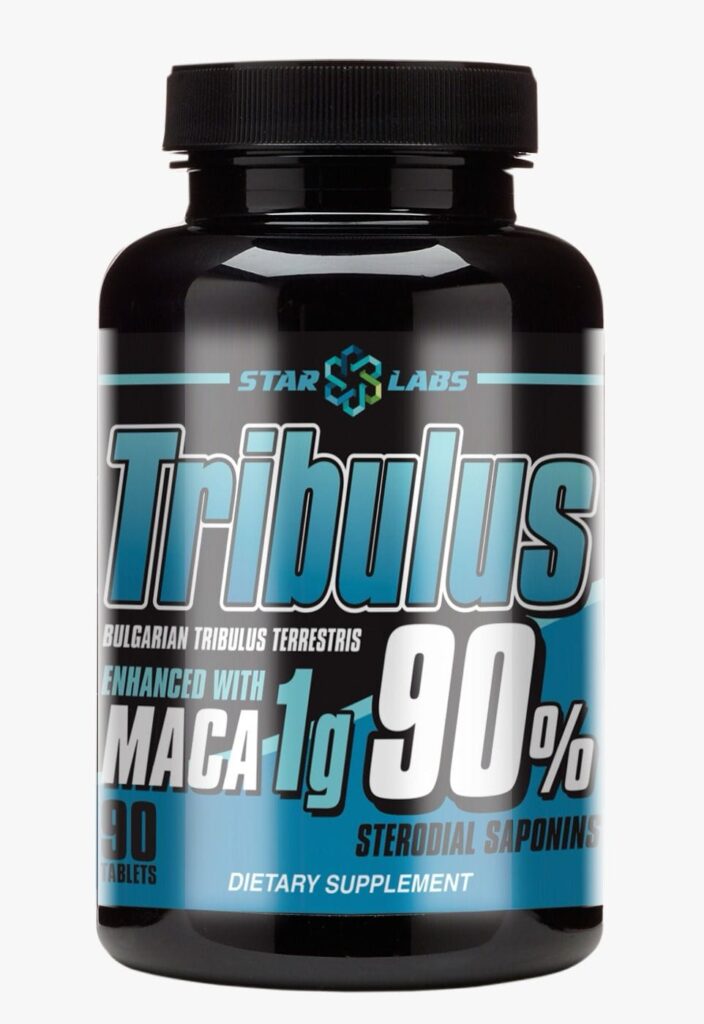 486303514_1219852159645060_2726856887432824619_n