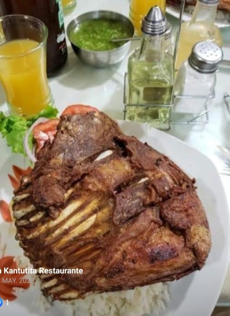 486307579_1547462729512546_8290484899704044575_n