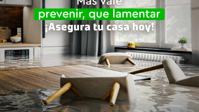 486376131_973187258233470_5641443576506988861_n