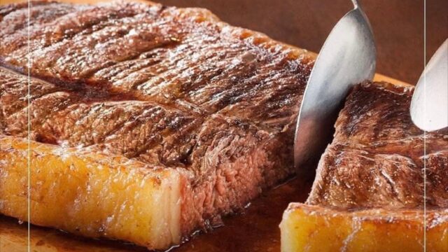 486494618_1230153429117470_9133020585724706551_n