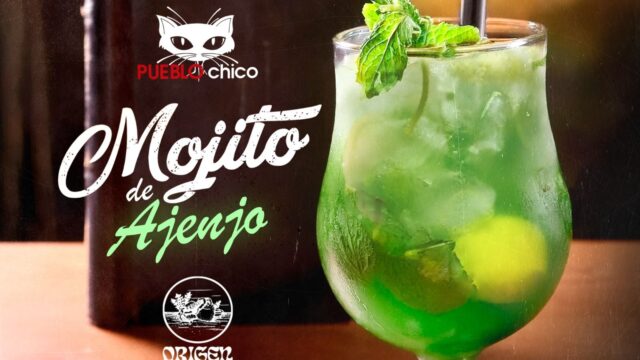 486608211_1217257620406062_8316721695872395801_n