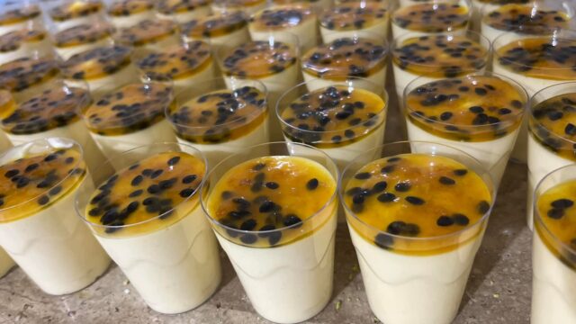 486612665_1125983936205509_8543226427256191297_n