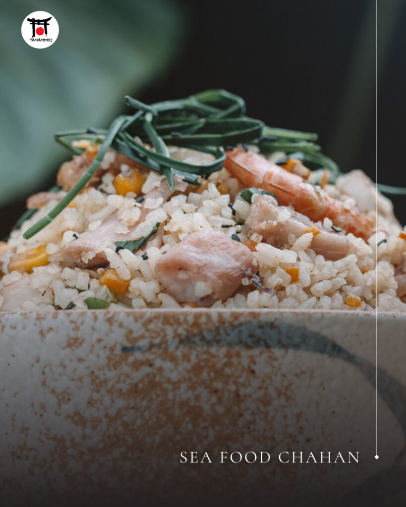 488248673_705365958491167_4633235747094932605_n