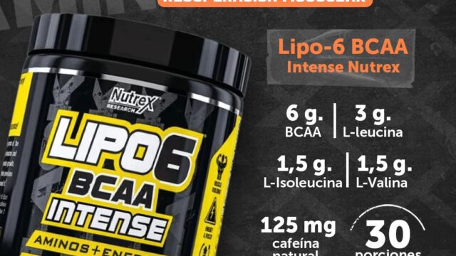 491043029_979476051037851_6936384783485551392_n