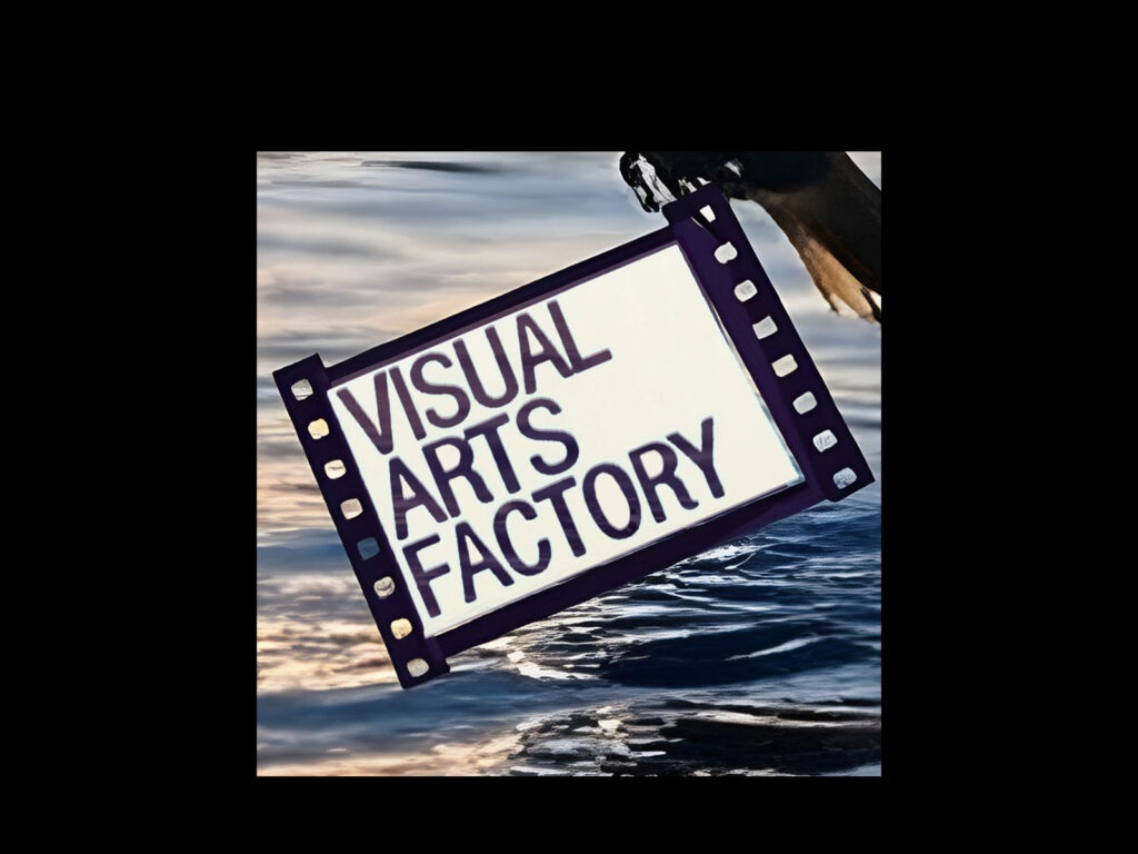 Visual Arts Factory