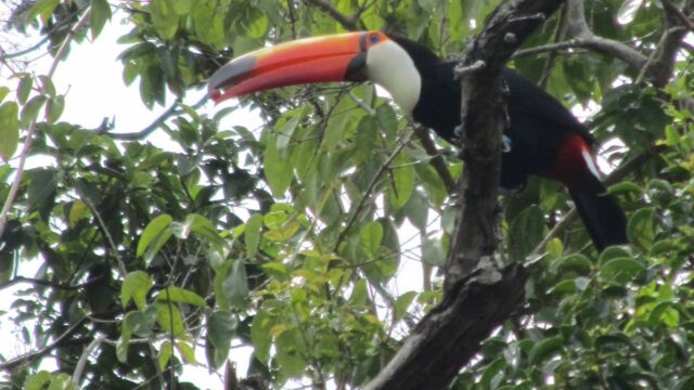 57491783_2630200037008610_7166661947130118144_n