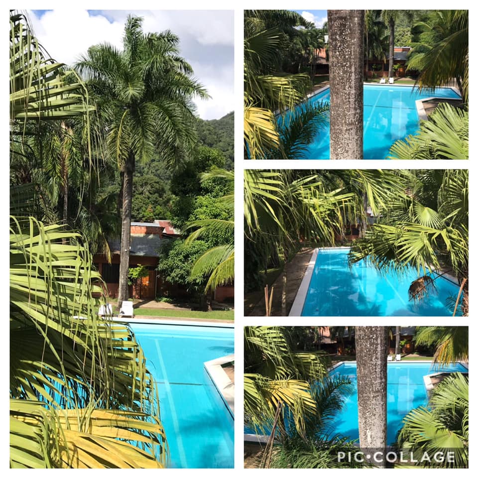 61308975_2269327173145996_5616049844125696000_n