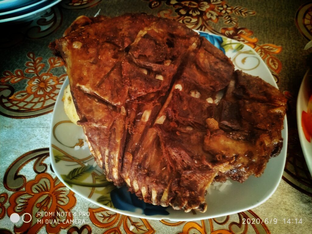 102418058_108592510889631_1525291798680996455_n