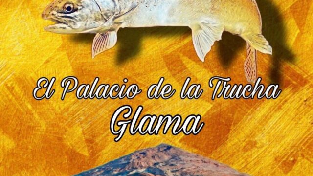 106446292_106686187777563_3409395459834420345_n