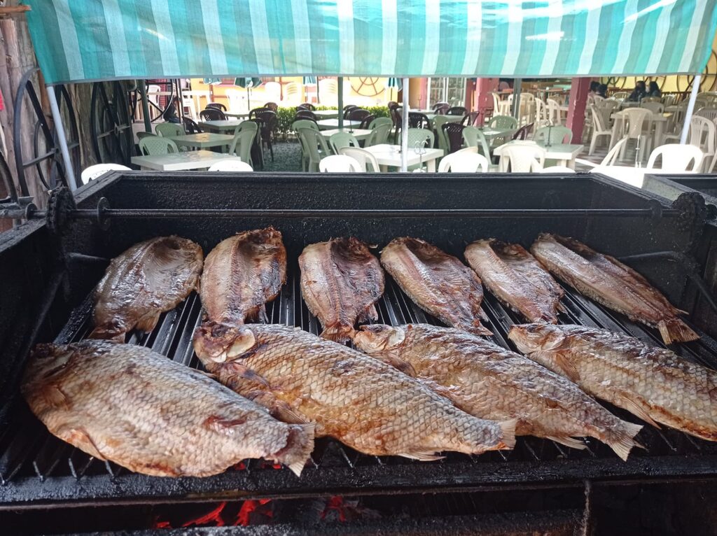 167880969_1442141942802082_1276531622111715416_n