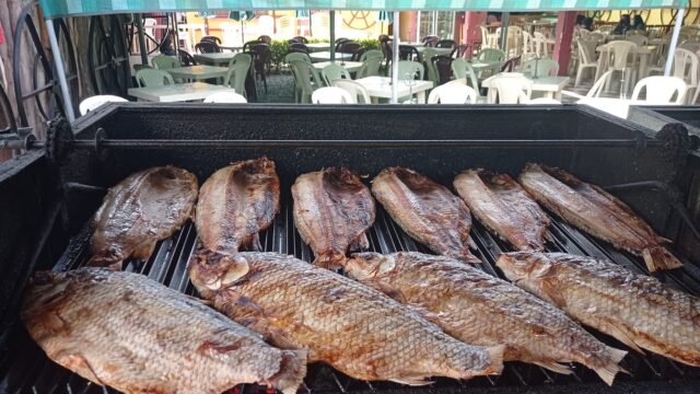 167880969_1442141942802082_1276531622111715416_n