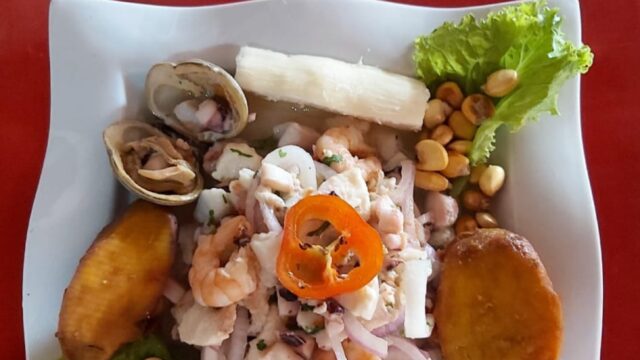 193103595_1033884640730164_7008554971332057547_n