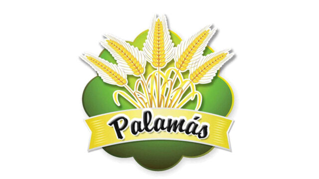 298918573_474452038021108_6936477900372549196_n