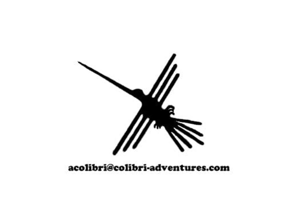 299813939_469739365165311_332090196239604590_n