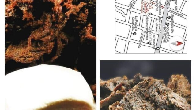 462231310_1228426902289635_6357105789807552715_n