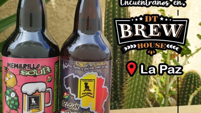 468095289_1559852564897004_8395198652626555691_n